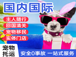 拉萨空运国际宠物托运 【国